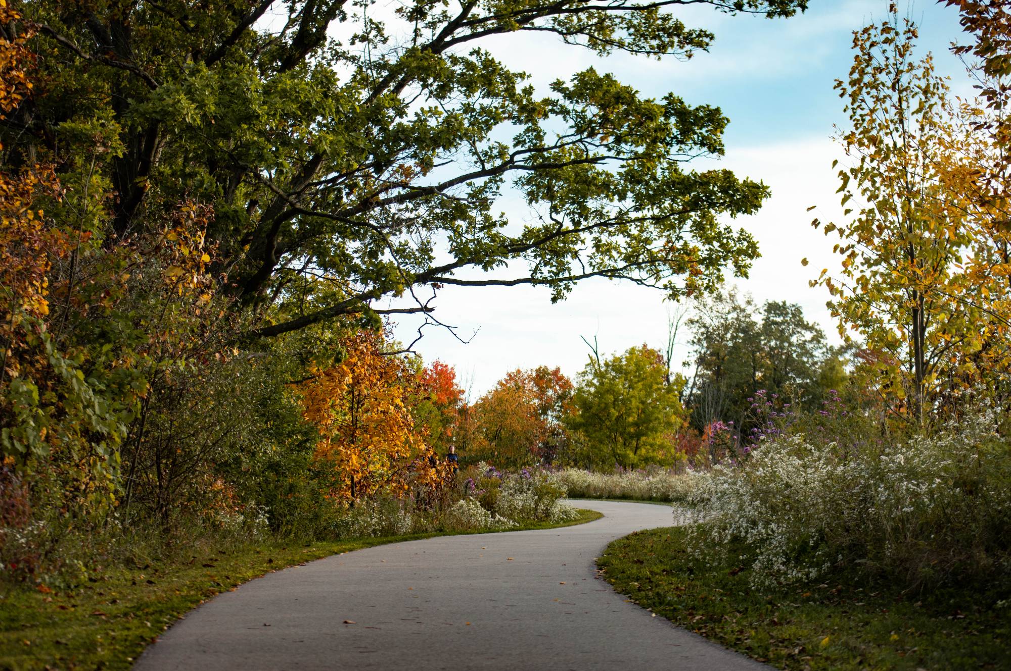 Grand River Park